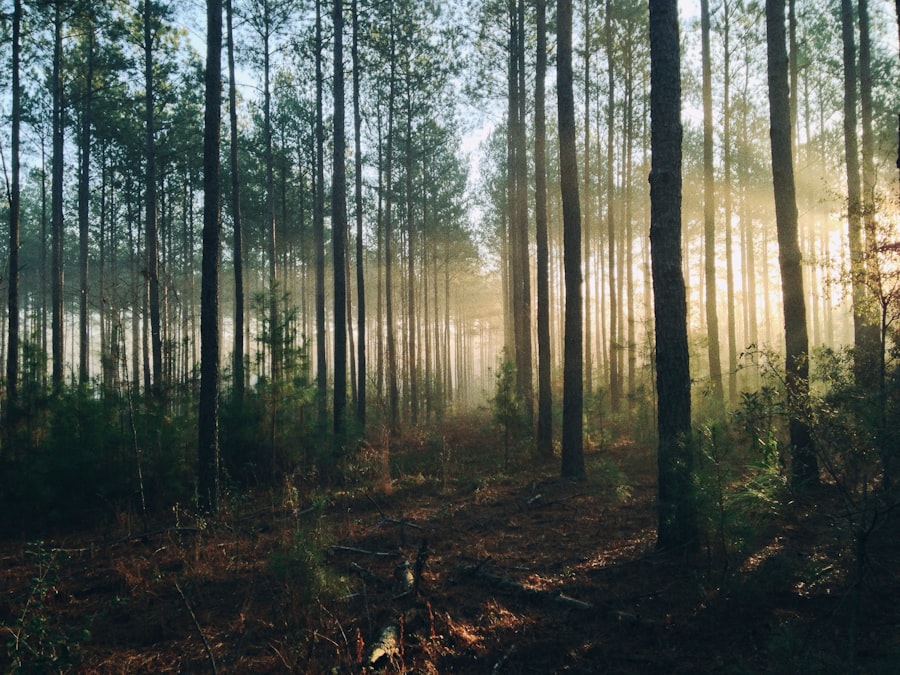 Eco-Friendliness